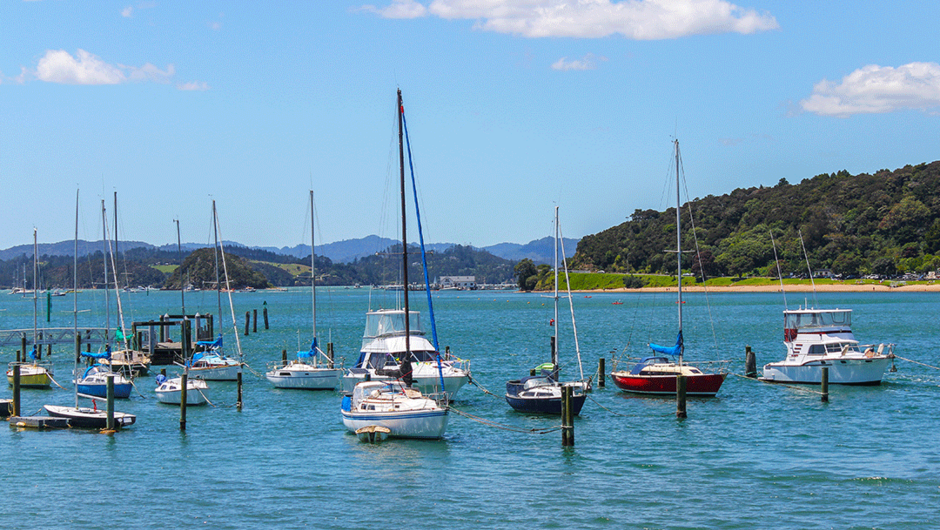 Boats in the harbour at the seaside town Paihia