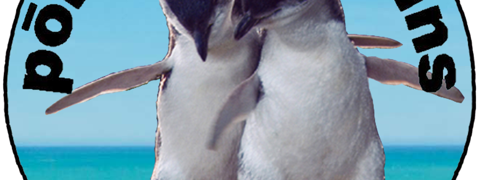 Pohatu Penguins Logo_macron_RGB_1.png