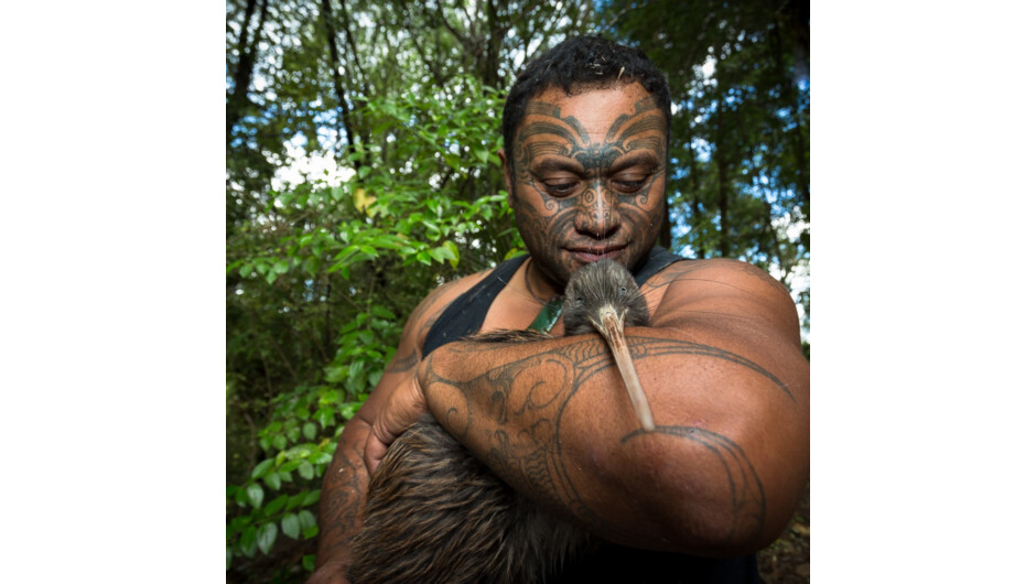 Tangata whenua (people of the land) local Rangi Raki actively supporting Kiwi conservation in the Ōmataroa forest