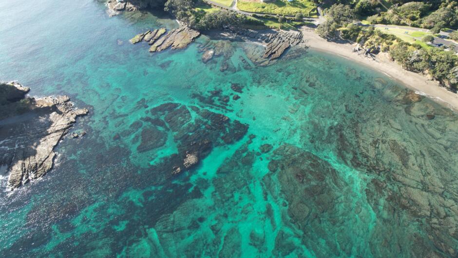 Drone Image Goat Island Marine Reserve.