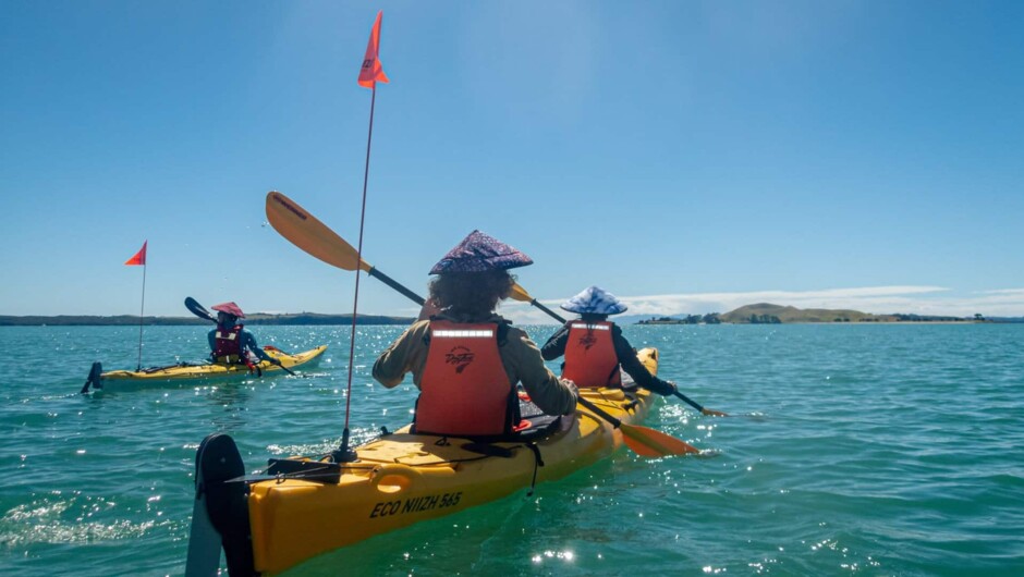 Browns Island Kayak Tour