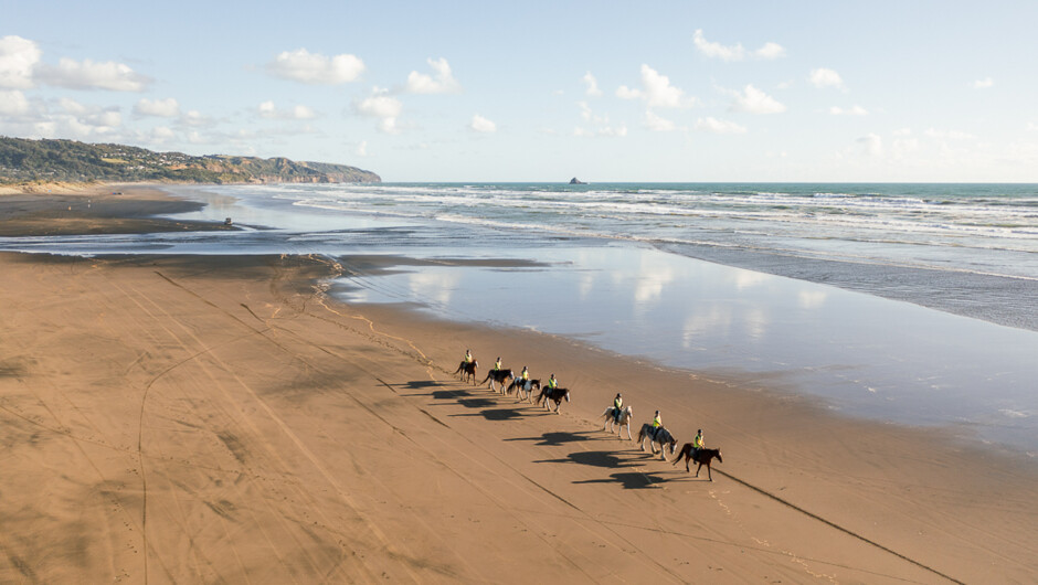 Sun, sea and sand all by horseback