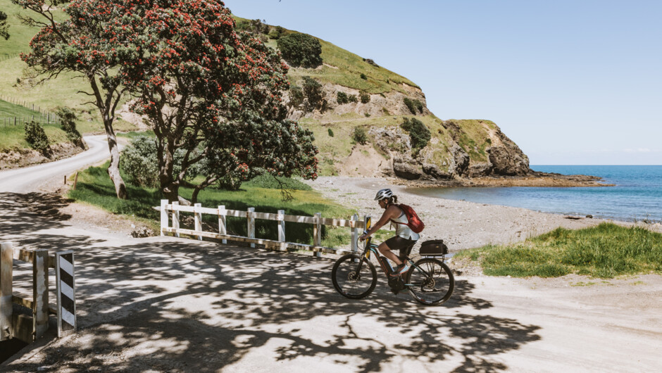 Choose to e-bike 26km back along the coastal road on day 3. A highlight for many.