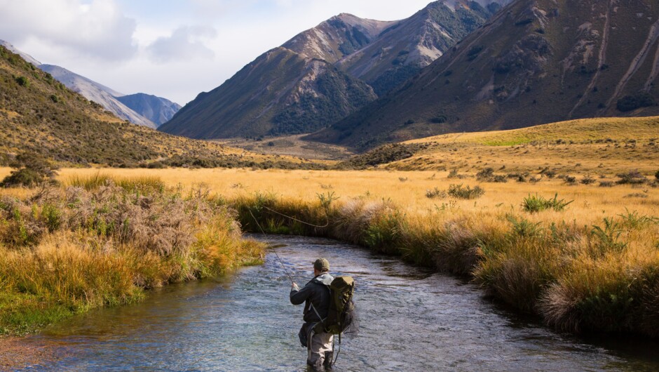 Winding Stream is one of five main salmon spawning streams feeding into the Waimakariri river which flows like an artery from the heart of the land.