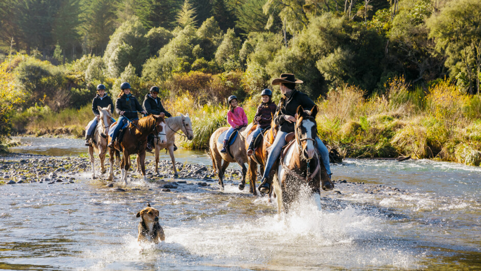Crossing the river with our team of horses.