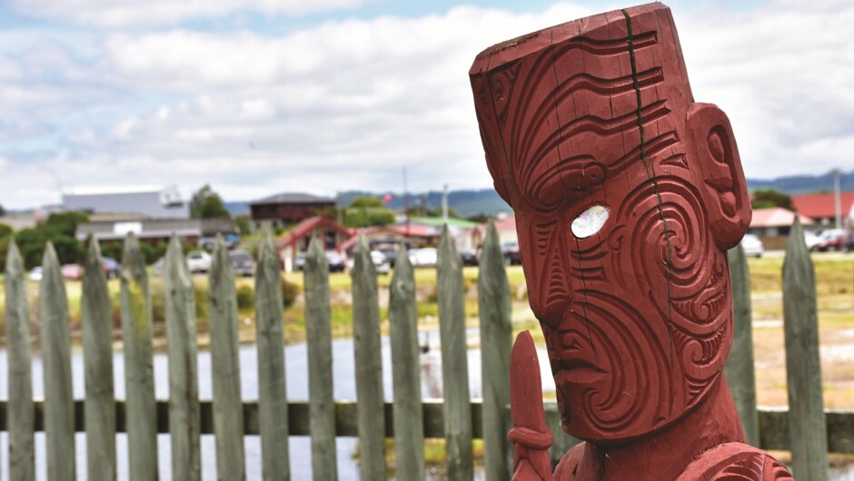 Walking among ancient sentinels, guardians of New Zealand's past.