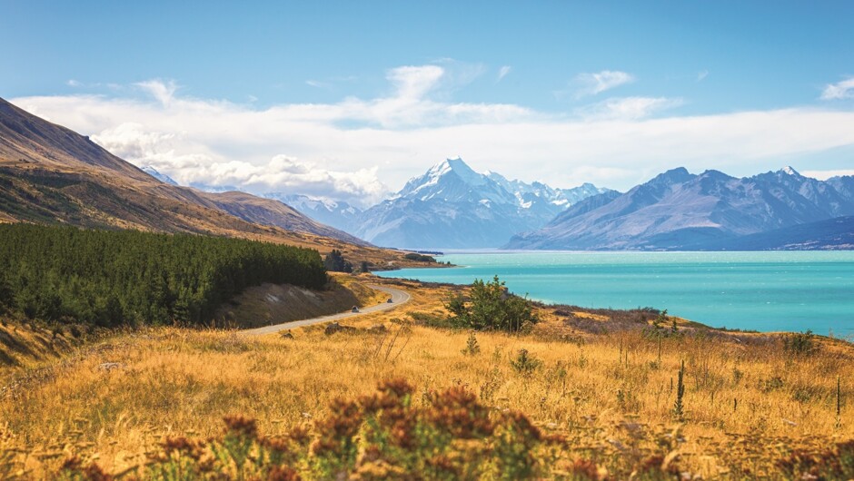 Exploring the breathtaking vistas of New Zealand's diverse landscapes.