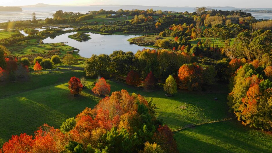 Ayrlies Garden, Auckland