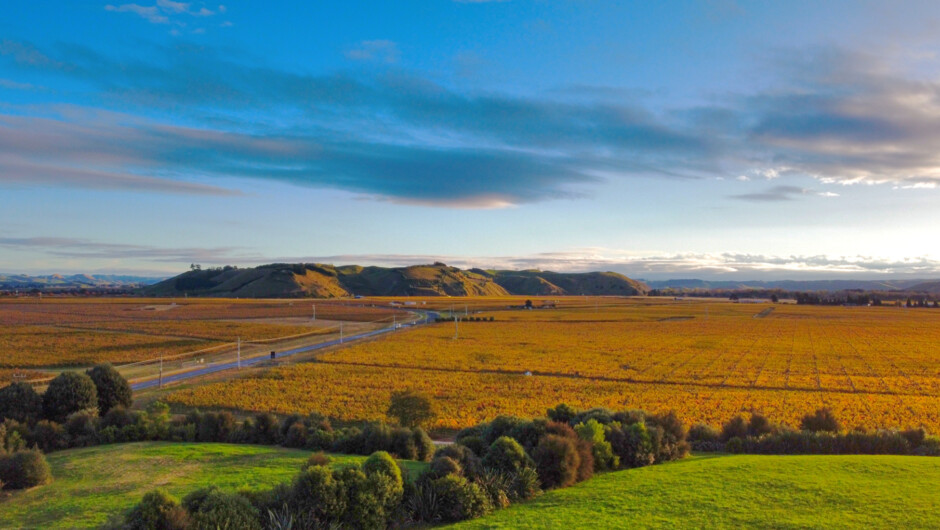 Gimblett Gravels Wine Growing Region