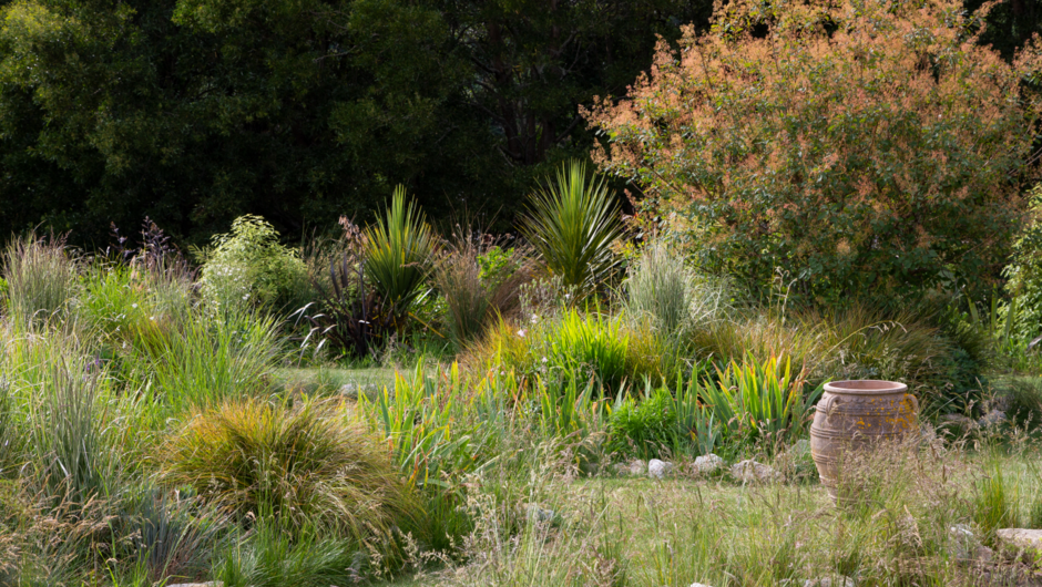 The Grass Borders with a flame tree at Longbush Cottage