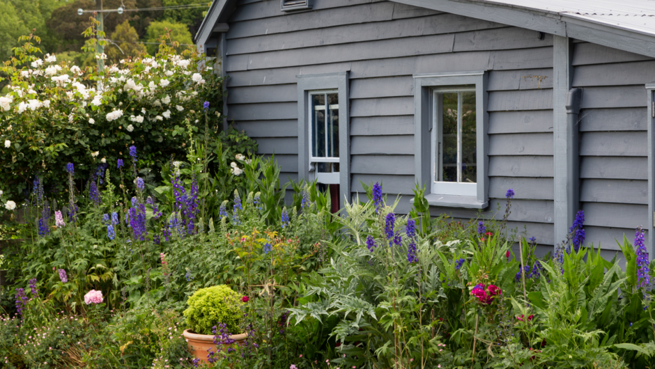 The Herbaceous Border wrapping the cottage at Longbush Cottage