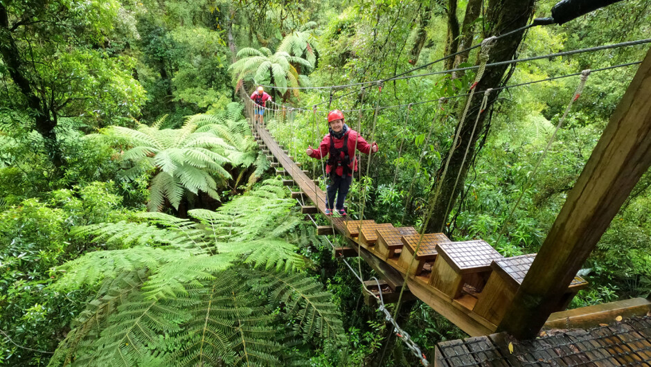 The Original Canopy Experience