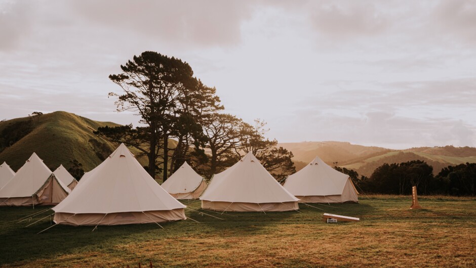 Creating Glamping Magic for a Muriwai, Auckland Wedding