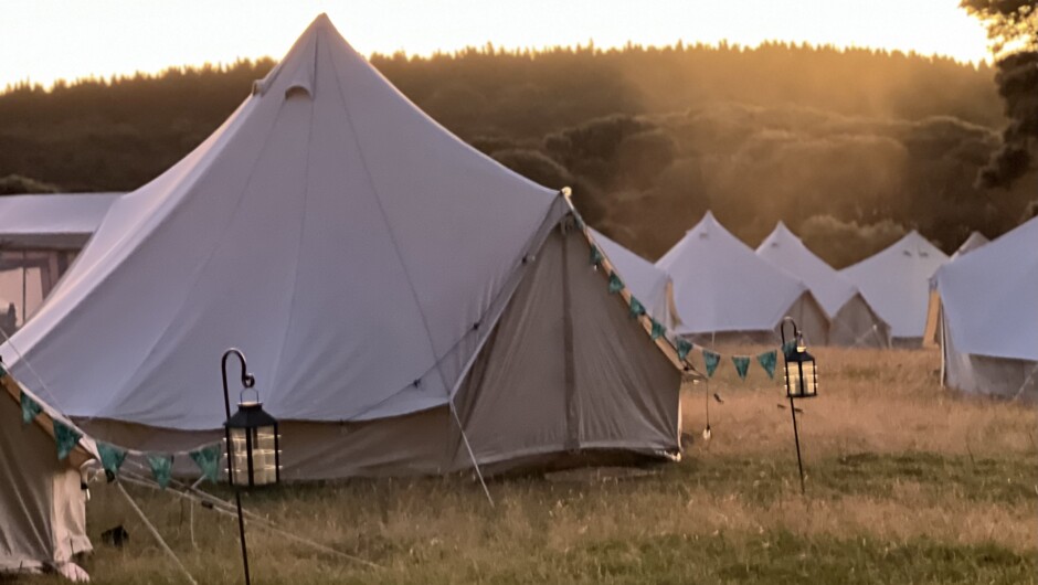Glamping Corporate event in South Head Auckland.