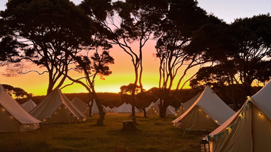 Corporate Glamping Event in Serene South Head, Auckland