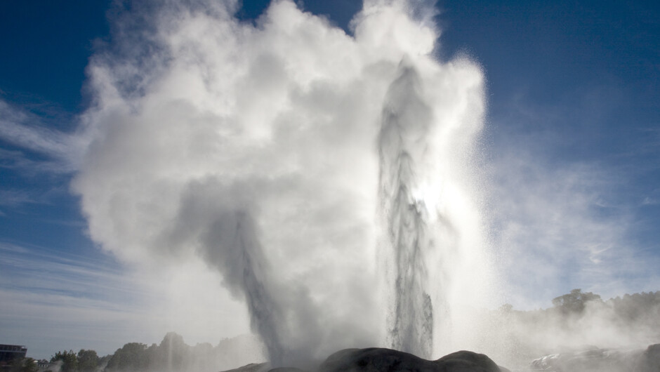 Te Puia Pohutu Geyser