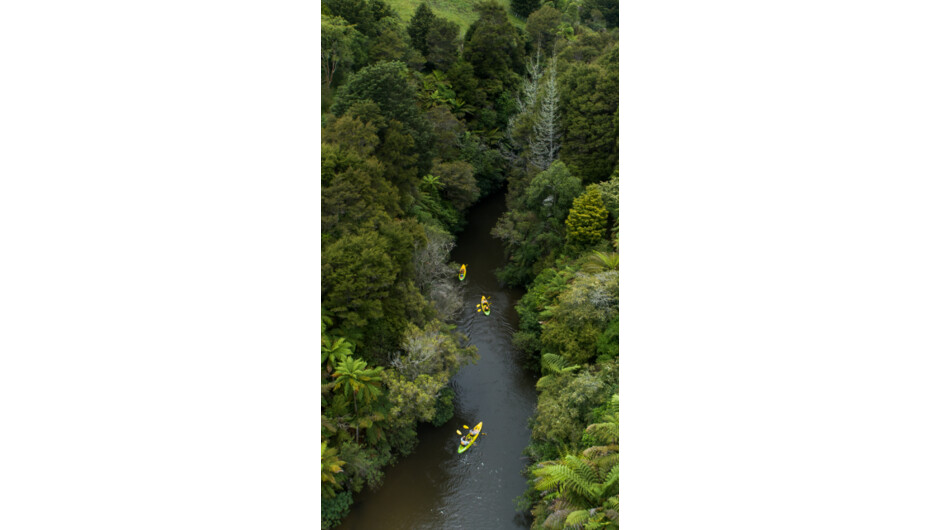 Twilight Kayak glow worm tour. Drift along the magical Waikato River at twilight.