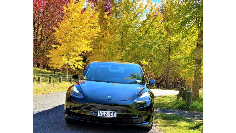 Tawhiri Tesla tour vehicle in Autumn colours