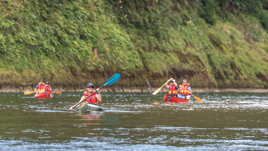 Leisurely Canoe on the Whanganui River
