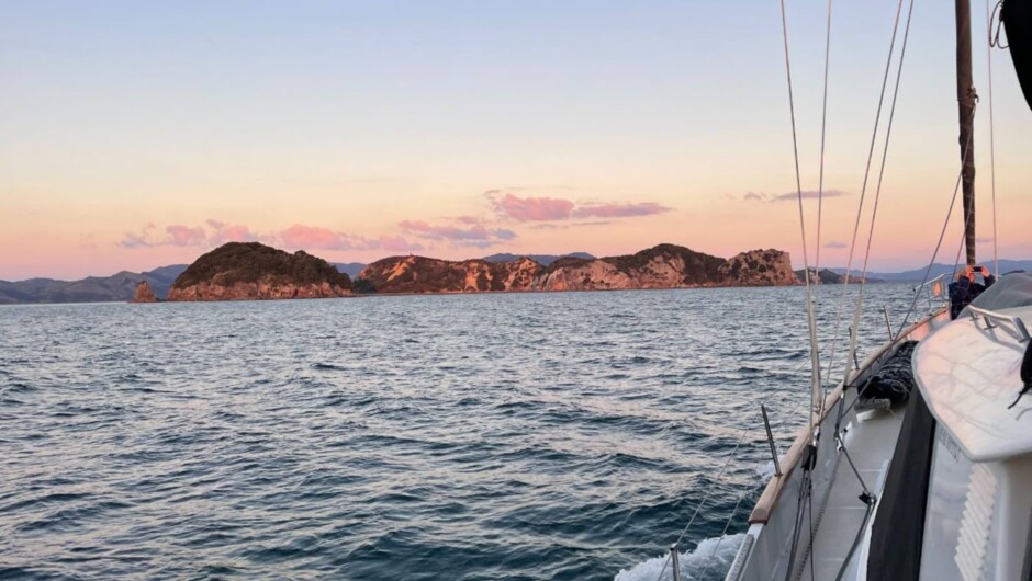 Hauraki Gulf Sailing