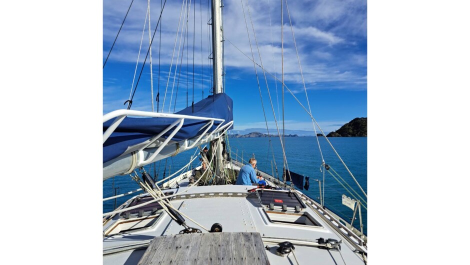Sailing Picton To Opua