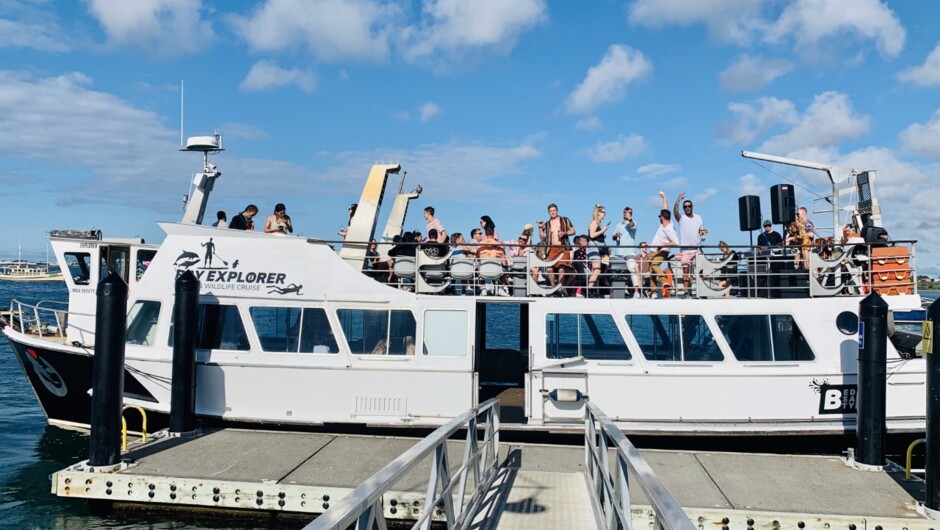 Our spacious 18 metre vessel, Bay Explorer with 360° outdoor views. Comfortable fully enclosed seating downstairs and a large open sun-deck for wildlife watching.