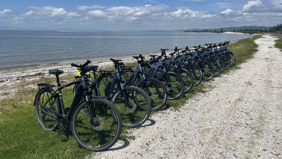 Shorebird Cycles fleet of hire bikes.