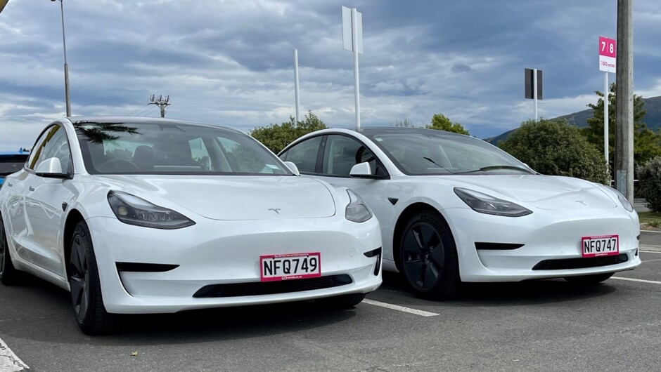 Two parked GO Rentals Tesla Model 3 vehicles.