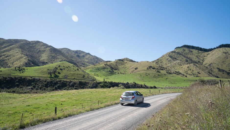 GO Rentals vehicle driving along New Zealand country road.