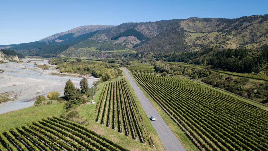 Aerial shot of GO Rentals vehicle driving along New Zealand country road surrounded by vineyards.
