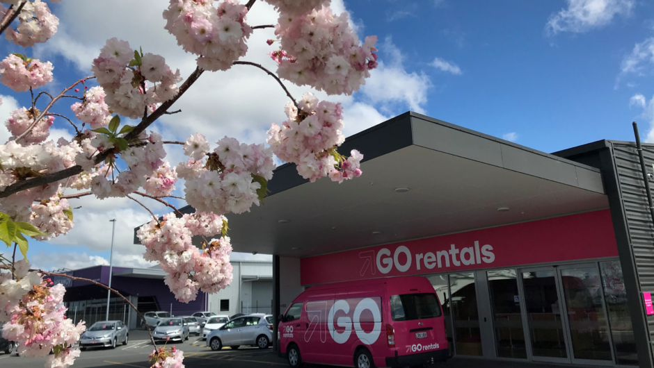 Spring flowers outside GO Rentals Christchurch Airport branch.