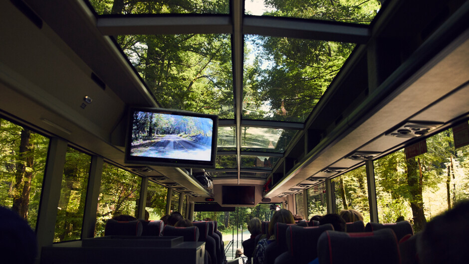 Glass roofed coaches for extra viewing