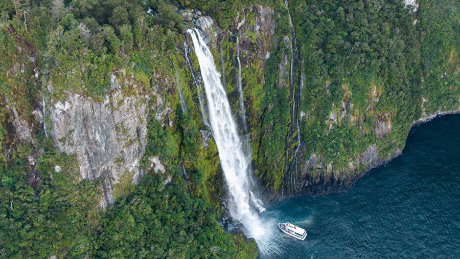 Capture the beauty of Milford Sound