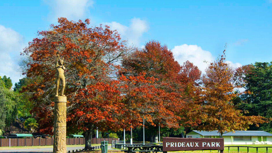 Prideaux Park