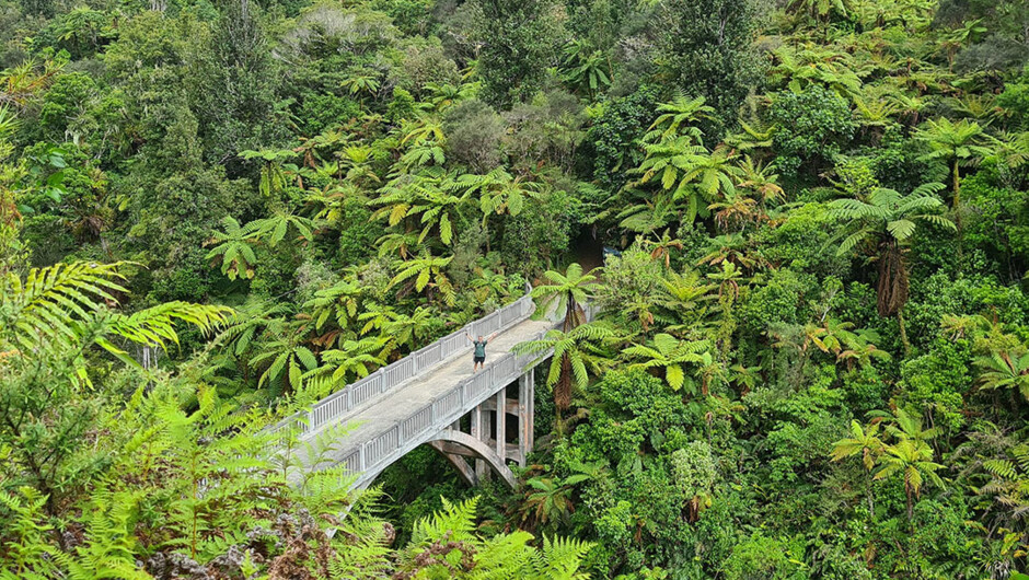 Explore Whanganui National Park, the Whanganui River Journey and the Bridge to Nowhere.