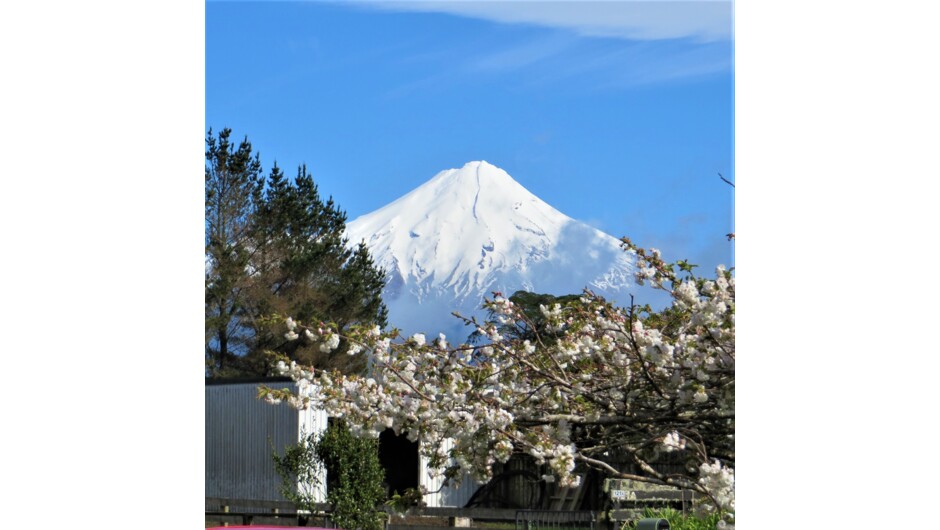 View of the Mount Taranaki from just outside your front door