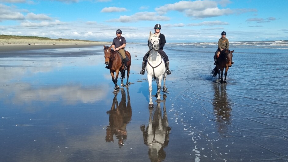 The perfect beach for riding if you wanted to bring your four legged friend on holiday with you. There is also access to to one of the biggest mobile dune fields in New Zealand and forestry for longer rides and exploration.