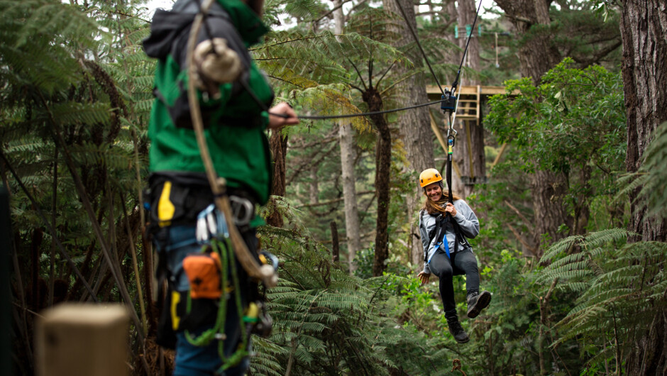 Ziplining from a platform in the trees.