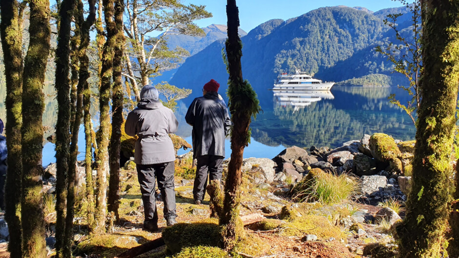 Ample opportunity to get off the boat and explore the remote Fiordland and experience the unique Wildlife upfront