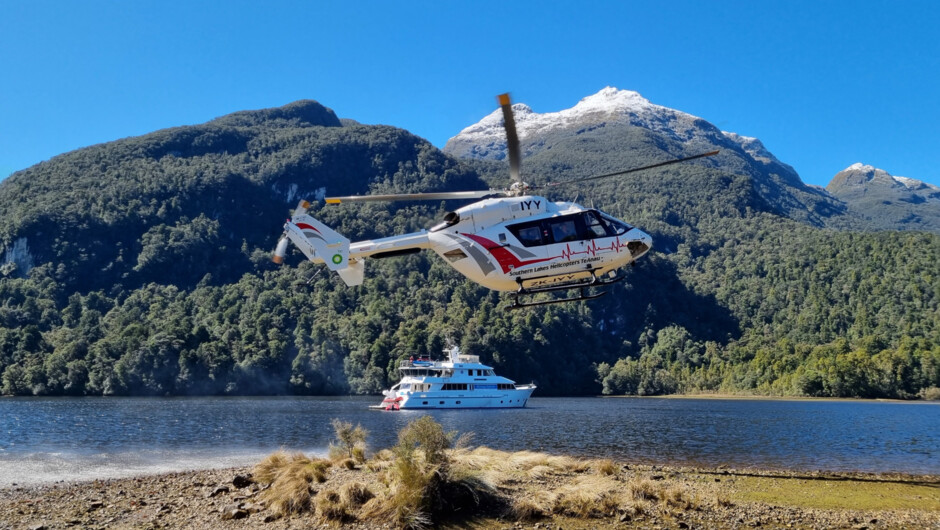 Fiordland is remote and access is only via sea or helicopter