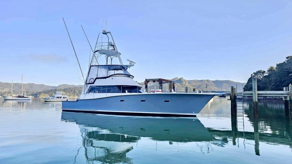 Pelagic Charters - Fishing Charters  Activity in Northland & Bay of  Islands, New Zealand