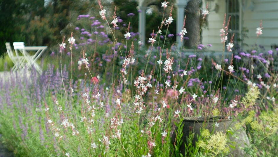 Pretty cottage gardens surround The Cottage, attracting butterflies and bees.
