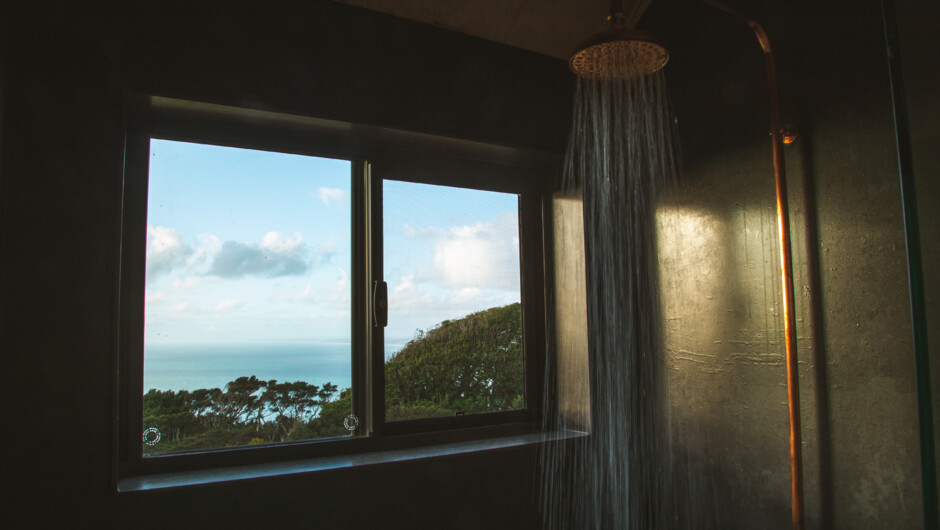 Aatea Cabin- shower views - Raglan