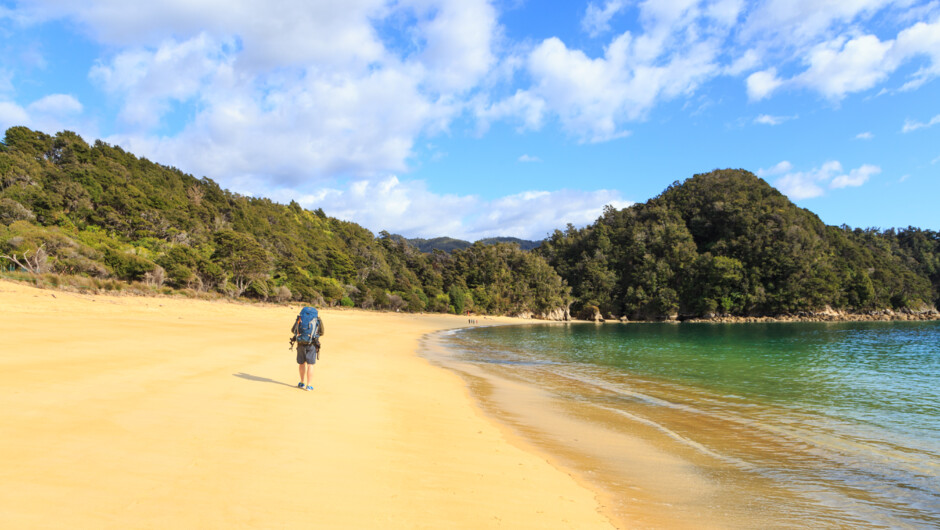 Walk along Abel Tasman