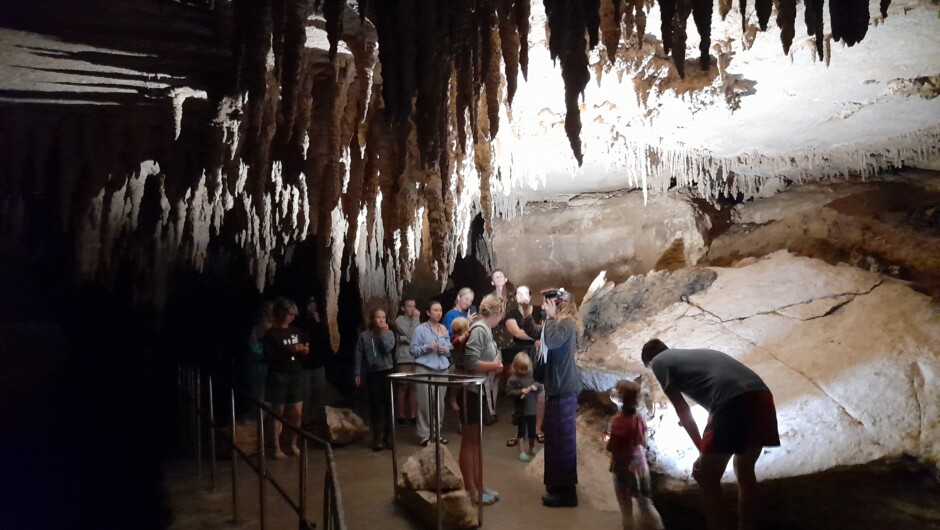 Visitors on a guided tour of the Milky Way Glow Worm Cave which is on the property.