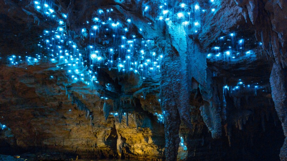 Glowworm Cave Tour - included activity.