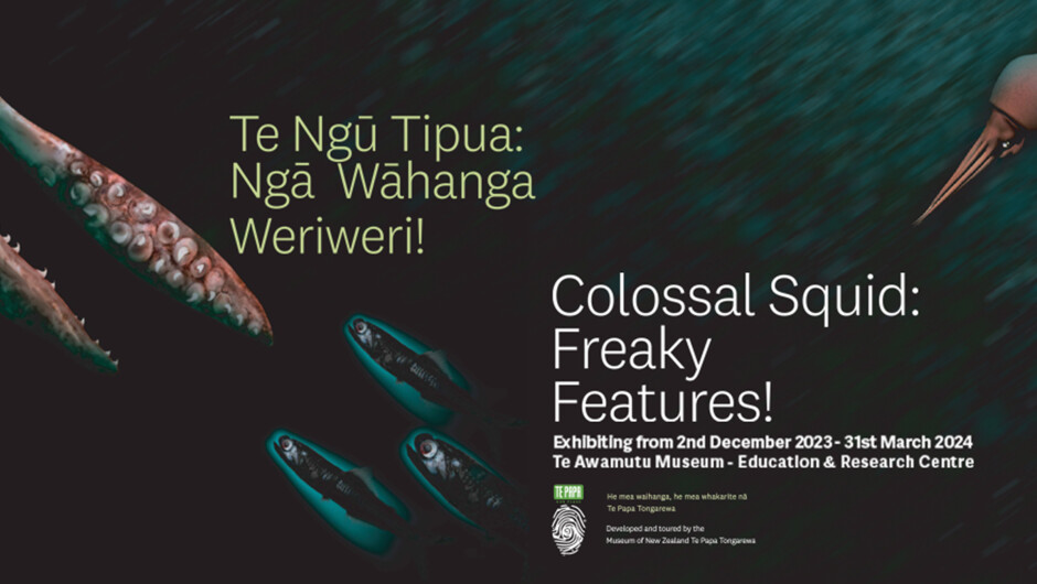 Te Ngū Tipua: Ngā Wāihanga Weriweri! Colossal Squid: Freaky Features! A touring exhibition by Te Papa exploring through real colossal squid parts, interactives, video and images this amazing sea creature! A mini exhibition that packs a punch. On show unti