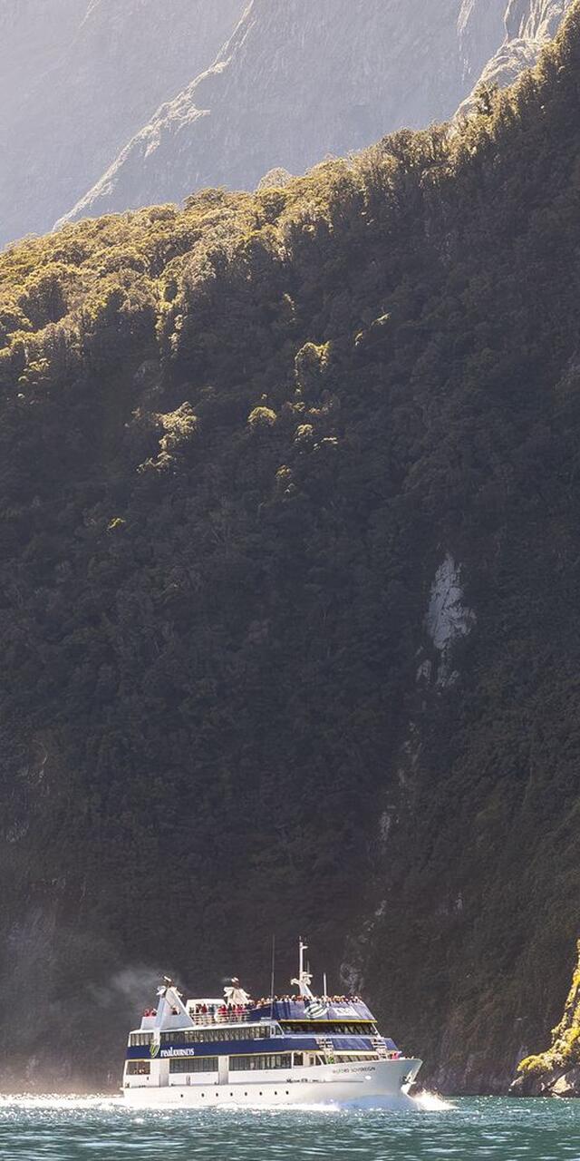 Cruise at Milford Sound, Fiordland