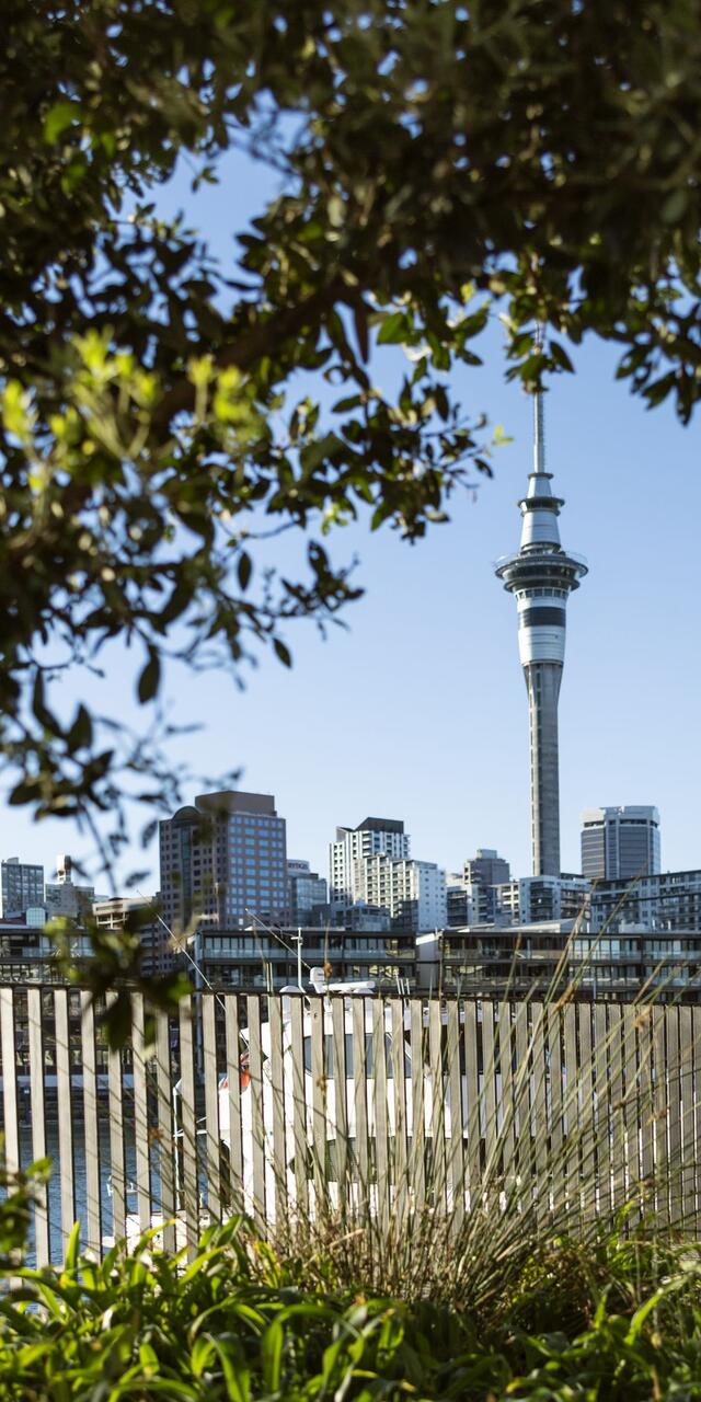 Auckland City