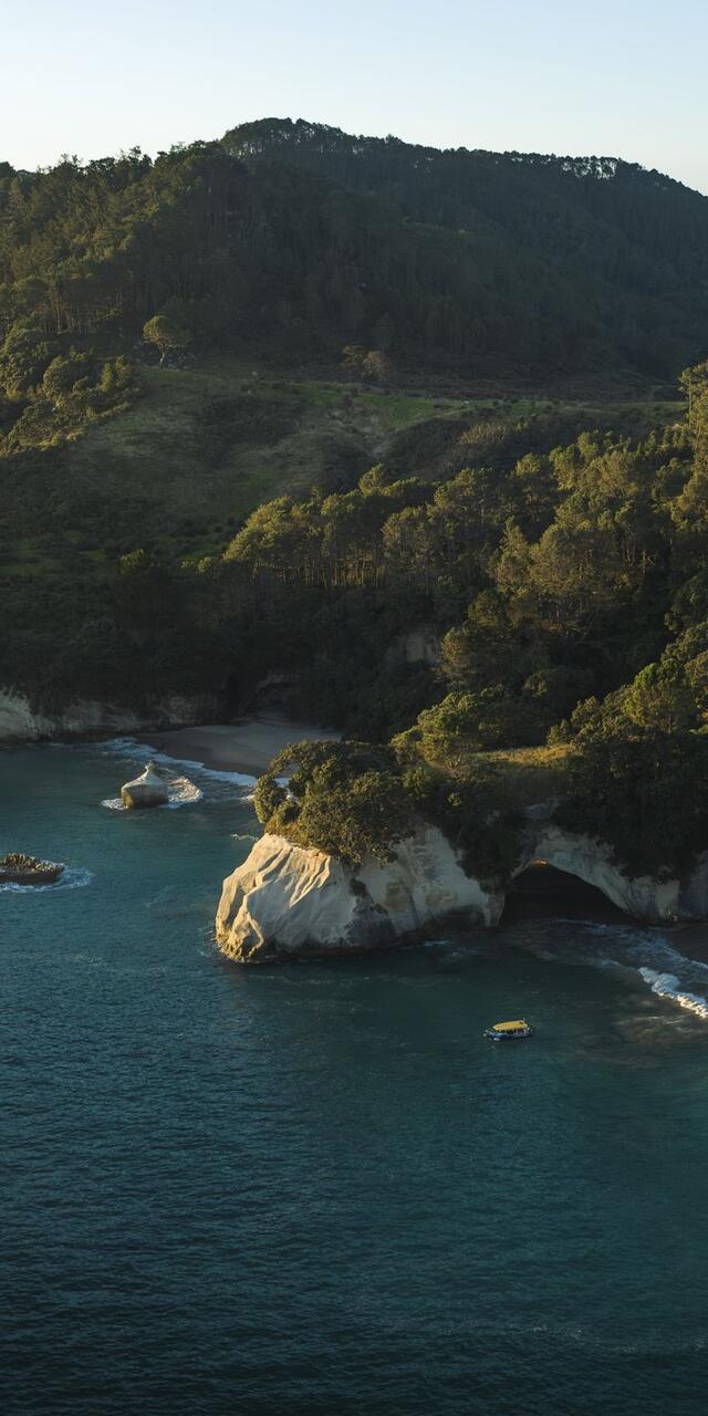 Cathedral Cove, Whitianga